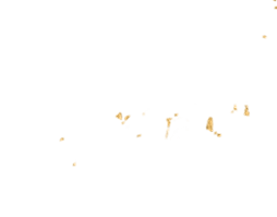 Deco