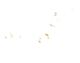 Deco