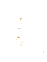 Deco