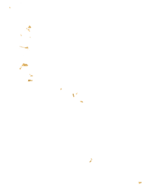 Deco