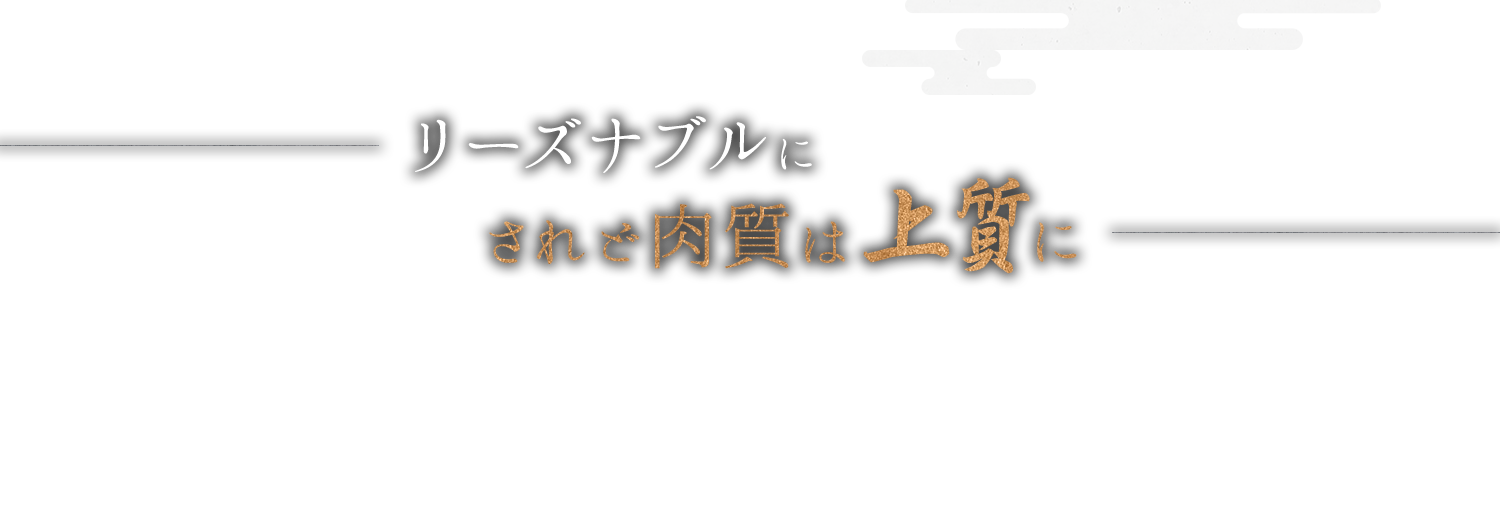 リーズナブルに